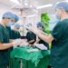 Trẻ bị dính thắng lưỡi, khi nào nên cắt? tre dinh thang luoi va nhung dieu can biet crop 1699254685099.jpeg