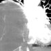 u phoi 20 cmngoai tyc09 crop crop 1727683944044.jpeg