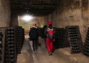 vang5 1735382684 1735382698 5376 1735383019.jpg