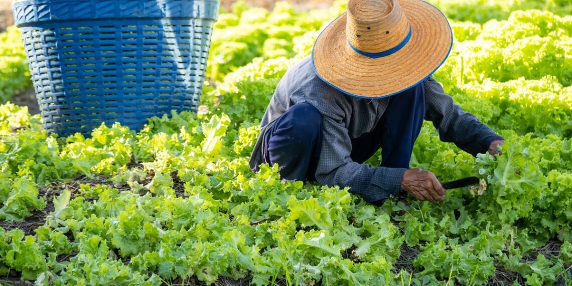 vecteezy farmer in the country 9420 2037 1756979591.jpg