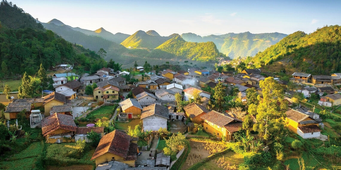 xac minh thong tin du khach to bi chat chem tai lo lo chai 1568.jpg