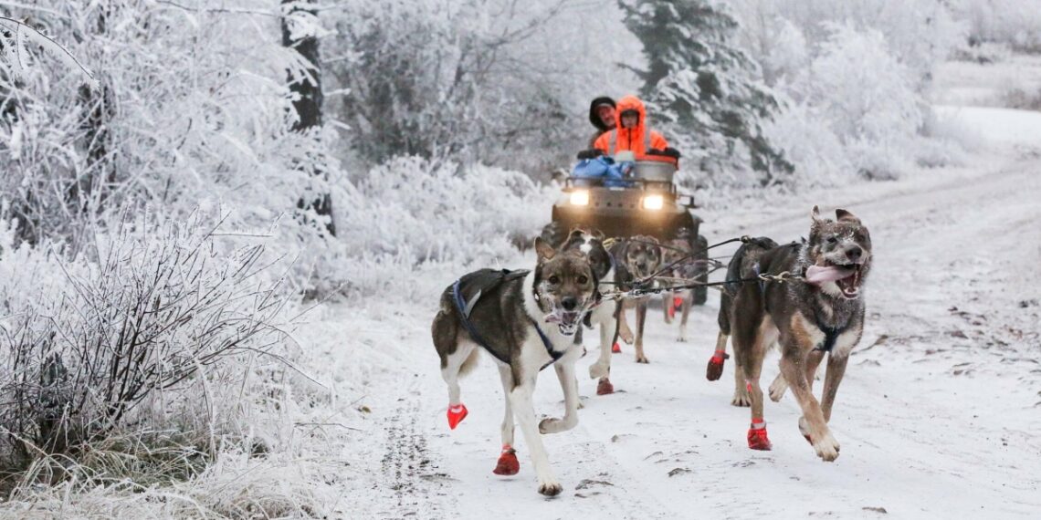 yi4b2wzmjncnzmfqh3jsleknuq 175 5599 5813 1755333787.jpg