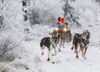 yi4b2wzmjncnzmfqh3jsleknuq 175 5599 5813 1755333787.jpg