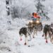 Alaska - vùng đất hoang dã của nước Mỹ yi4b2wzmjncnzmfqh3jsleknuq 175 5599 5813 1755333787.jpg