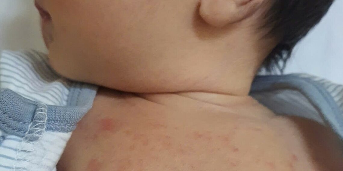 z7041589676239 f587a5493c13c72 2807 3331 1758854298.jpg