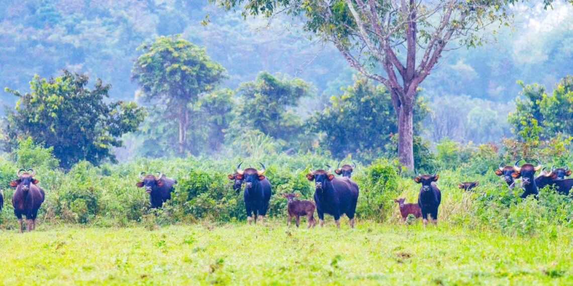 01 du lich dong nai 1202.jpg