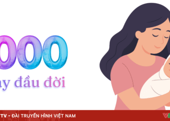 1 09498941915840055348784 40065769763878731759237.png