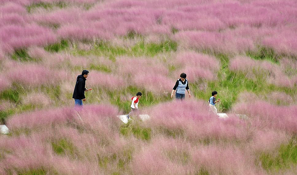 10 1761454081 1761455493 1761455684 1761481096.png