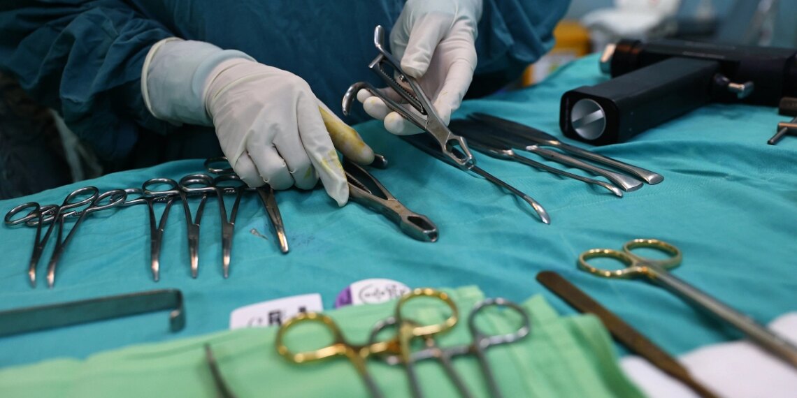 233a4190 2 1760437904 9327 1760438799.jpg