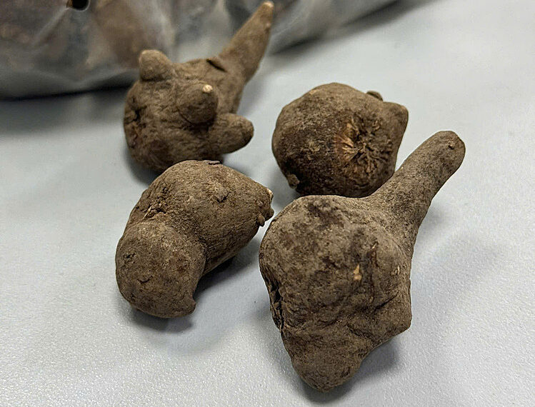 29fdbe163cb8b1e6e8a9 176172510 5638 5940 1761725188.jpg