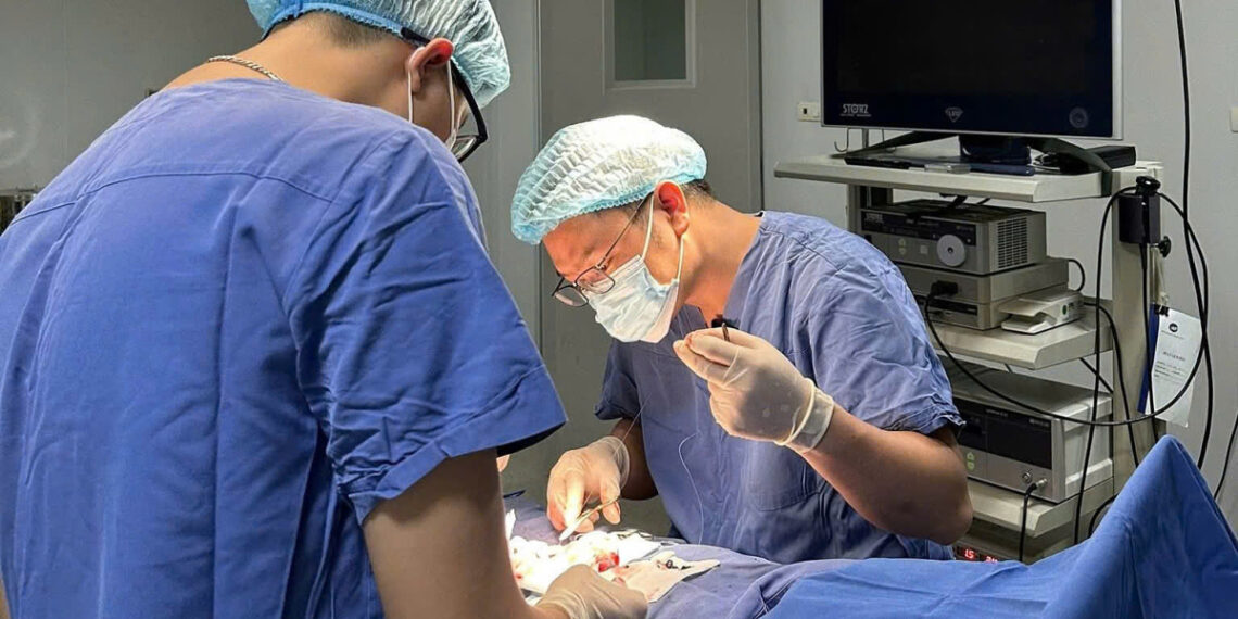 39109cd81e8793d9ca96 176006233 8095 1209 1760062549.jpg