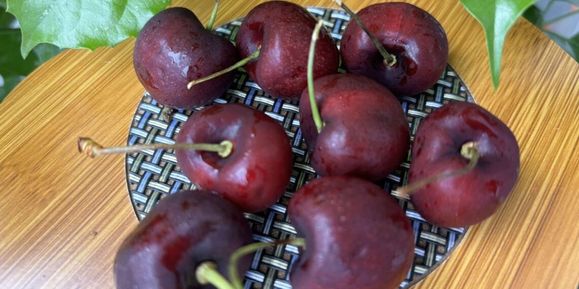 456359822 1230003978024022 4936420184049871207 n 1760413851.jpg