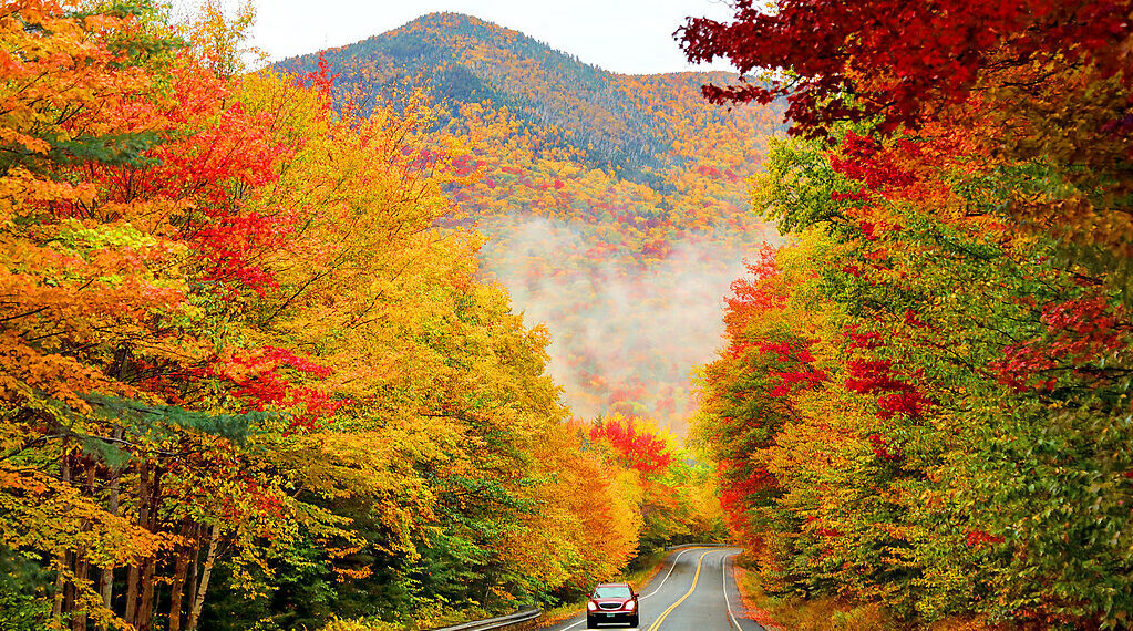 5 1759636795 1759636808 7349 1759636861.jpg