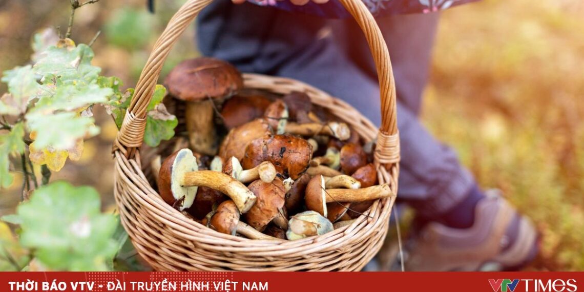 adobestock 294025922 93150927683200174043832 18335517069619922228347.jpeg