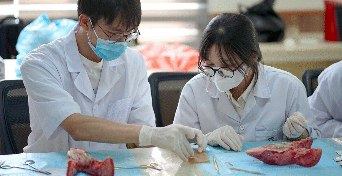 Kiến nghị miễn, giảm học phí cho sinh viên y anh chup man hinh 2025 10 06 l 6091 4545 1759723834.png