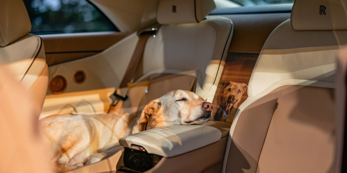 Bất ngờ "nhân vật đặc biệt" khiến đại gia phải tặng xe siêu sang Rolls-Royce bat ngo nhan vat dac biet khien dai gia phai tang xe sieu sang rolls royce 629.jpg