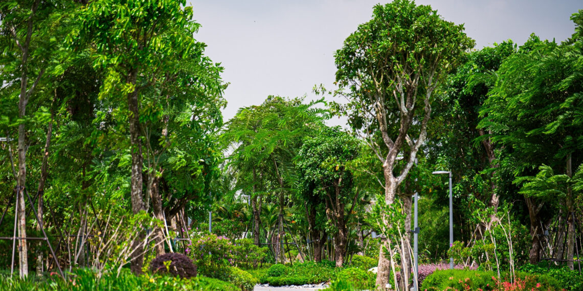 cac bac si ke don 0 dong giup chua nhieu benh 486.jpg