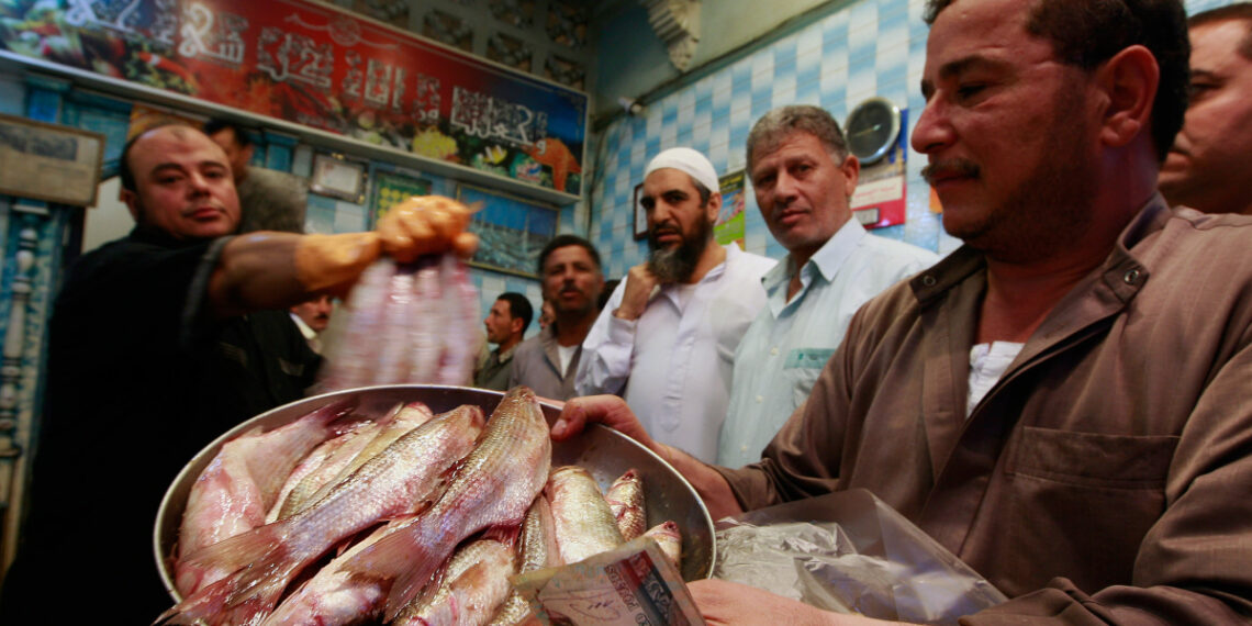 cairofish 1761365080 176136509 8738 3537 1761365104.jpg