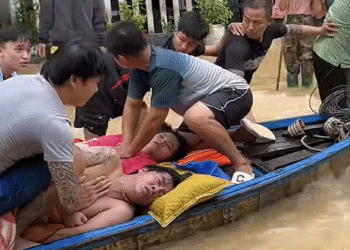 cap cuu 1761636465 4182 176163 9948 7908 1761654139.png