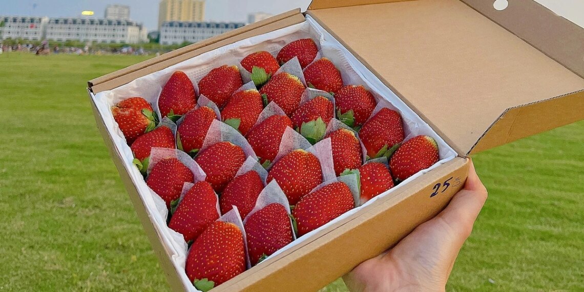 da u ta y 1759808063 175980824 3539 8245 1759808283.jpg