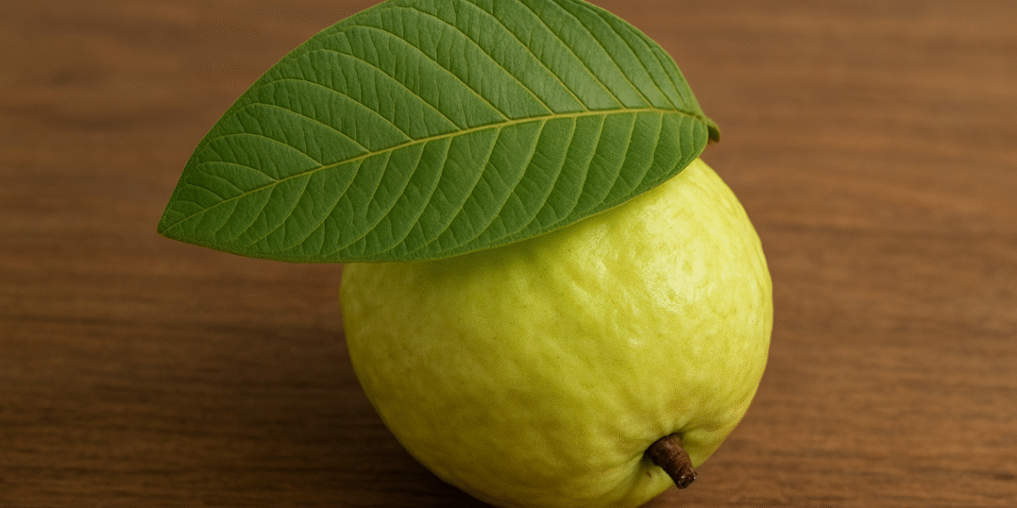 dc051a6a d7e4 4cf2 8f1f be2938 9296 8736 1760413987.png