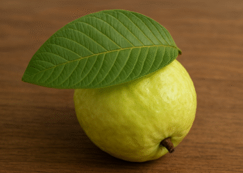 dc051a6a d7e4 4cf2 8f1f be2938 9296 8736 1760413987.png