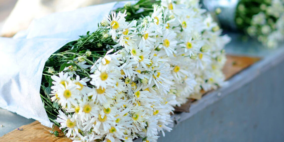 hn3 1760936207 1760942673.jpg