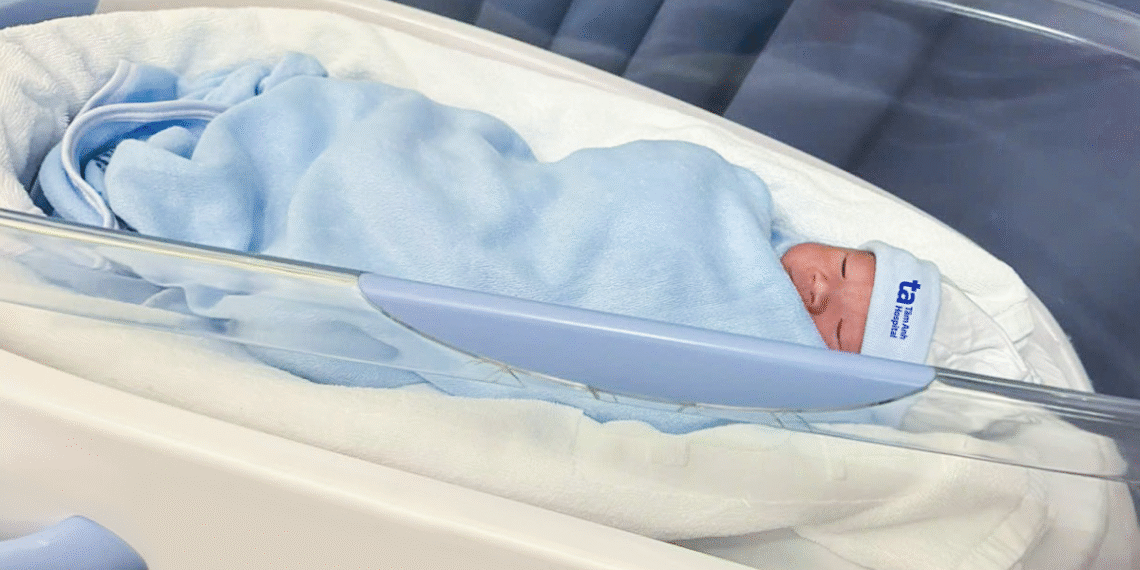 image003 1761182061 1761182117 3203 1761182227.png