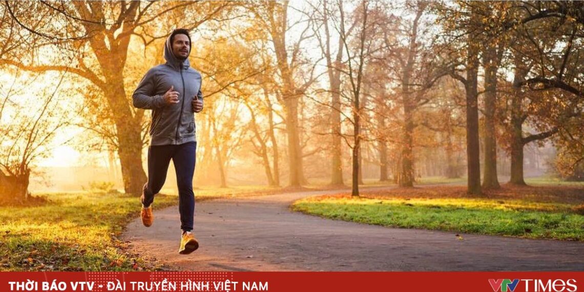 img 1675 38230647299429228880447 12895341682009277747310.jpeg