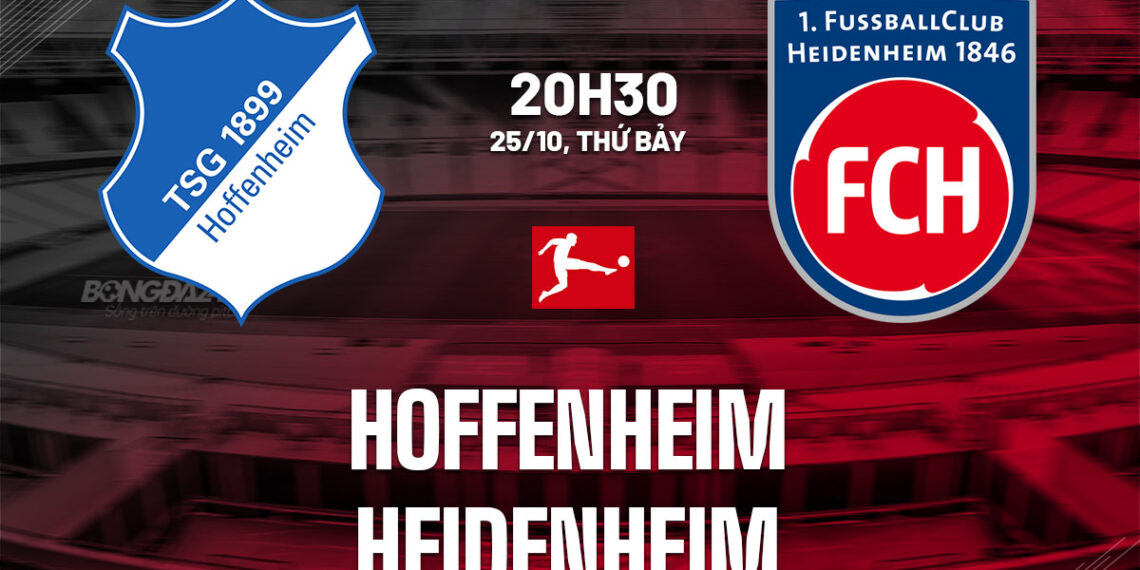 nhan dinh bong da du doan hoffenheim vs heidenheim vdqg duc bundesliga hom nay 2210082115.jpg
