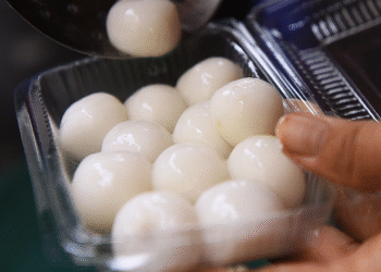 nhmnhnh20251018lc090023 176075 1209 2332 1760771352.png