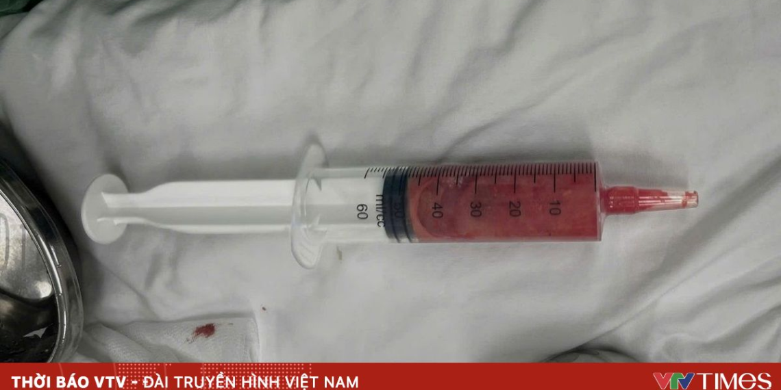 package media 15740564345592930093339 34508883339600385397742.png