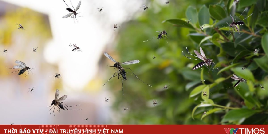 package media 28979037451828349574895 20040401095007752471374.png