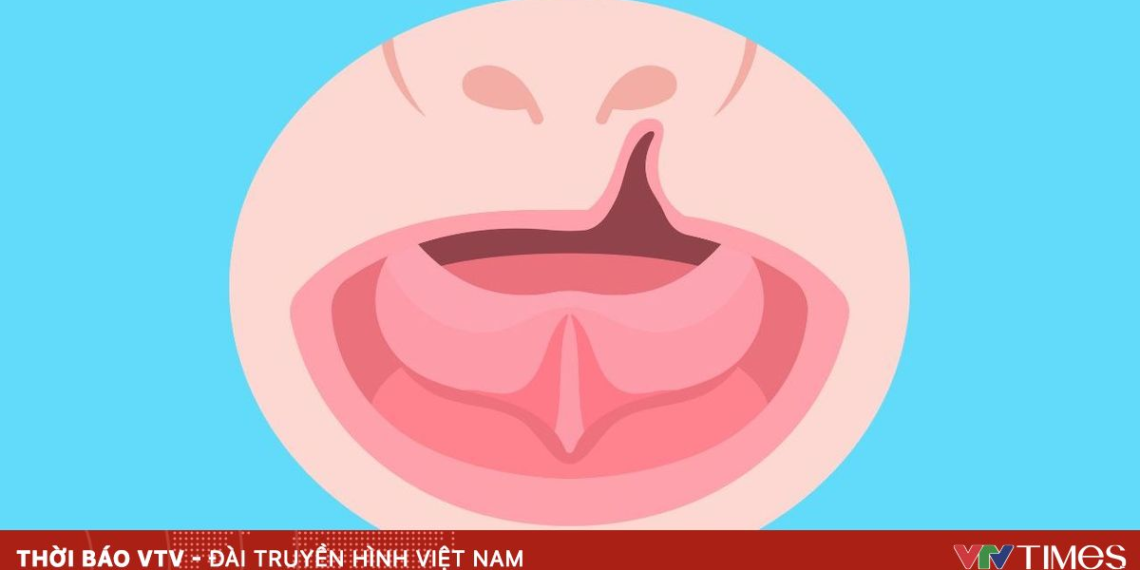 package media 44981209342862682069176 78069367170920203770432.png