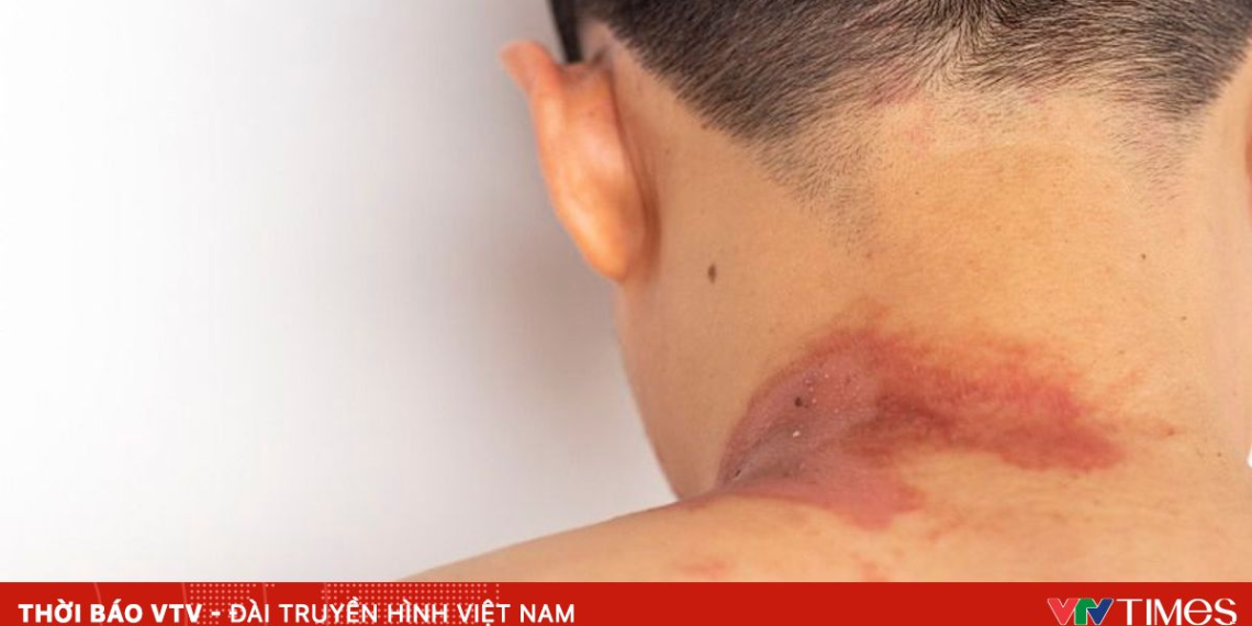 package media 49396711733319773173574 40035737358124071735043.png