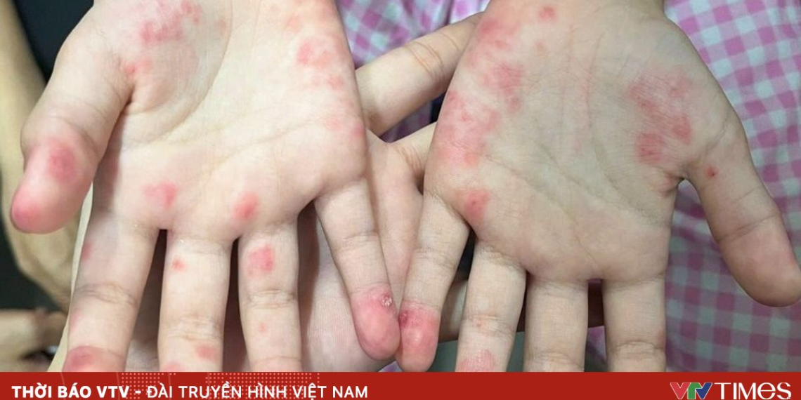 package media 52204789562667362020462 99422253950000668520395.png