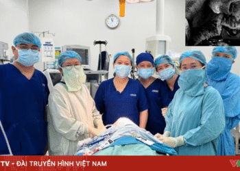 package media 59714790325404816527572 30172100637823361647977.png