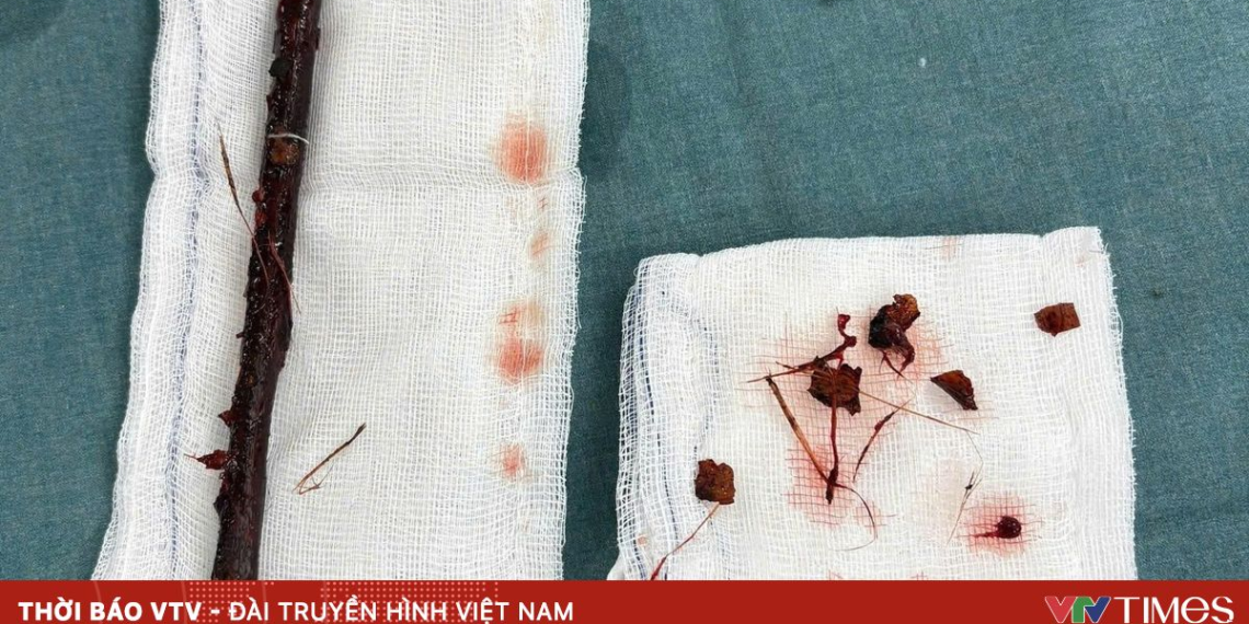 package media 77431592216074330119747 21028053110398767516736.png