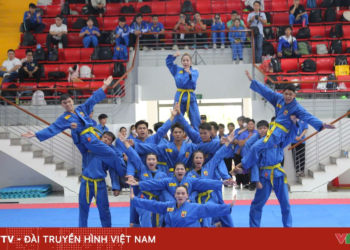 package media 85183939241218077861041 09087287799739854456774.png