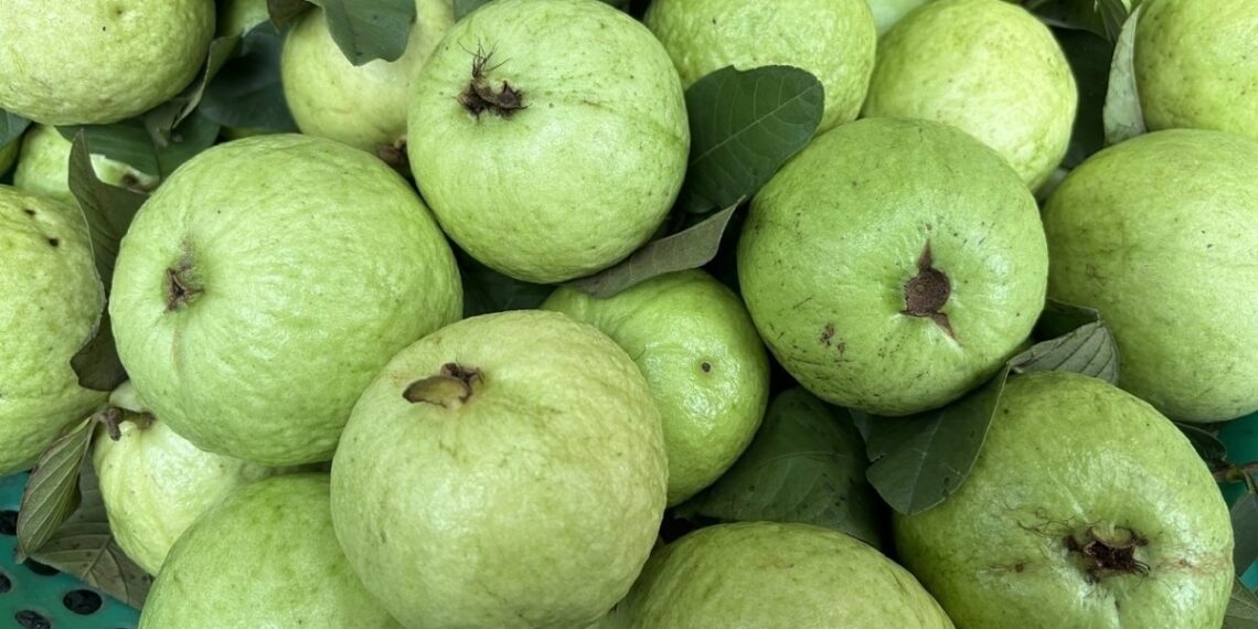 qua oi 2 1761540242.jpg