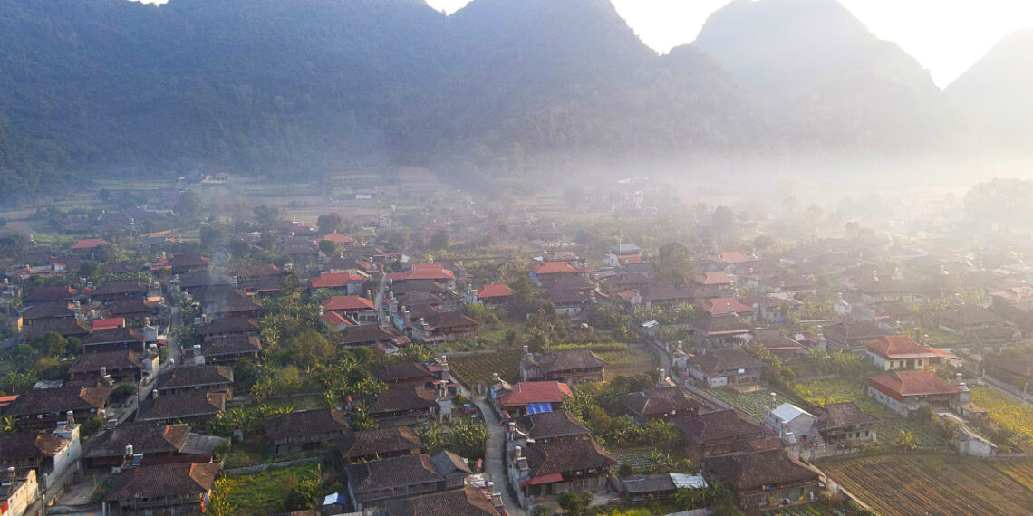 quynh son 1760764772 1760764790 1760764856.jpg