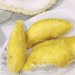 saurieng 1761124304 1761124324 4574 1761124353.png