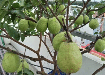 screenshot 2025 09 21 at 10 17 9339 7911 1758424919.png