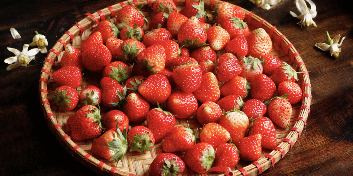 screenshot 2025 10 13 at 13 19 6881 2253 1760336853.png