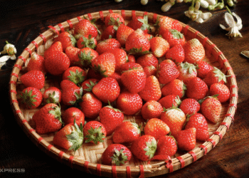 screenshot 2025 10 13 at 13 19 6881 2253 1760336853.png