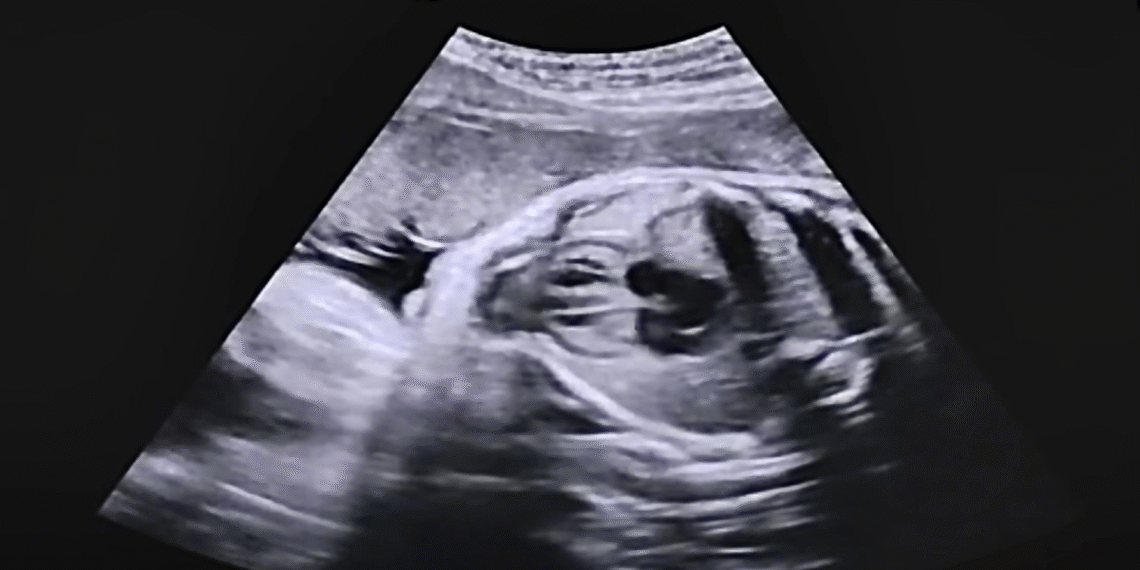 screenshot 2025 10 14 at 20 51 7489 6918 1760450495.png