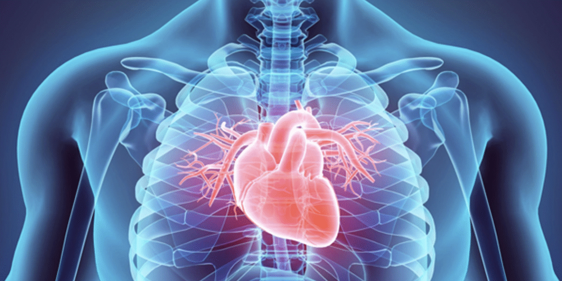 screenshot 2025 10 14 at 21 33 6960 8385 1760452746.png