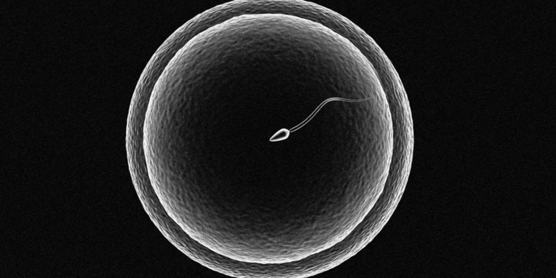 screenshot 2025 10 15 at 08 13 3739 4080 1760491024.png