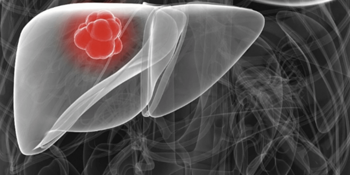 Những dấu hiệu thường gặp cảnh báo gan tổn thương screenshot 2025 10 18 at 08 39 1791 3065 1760751900.png