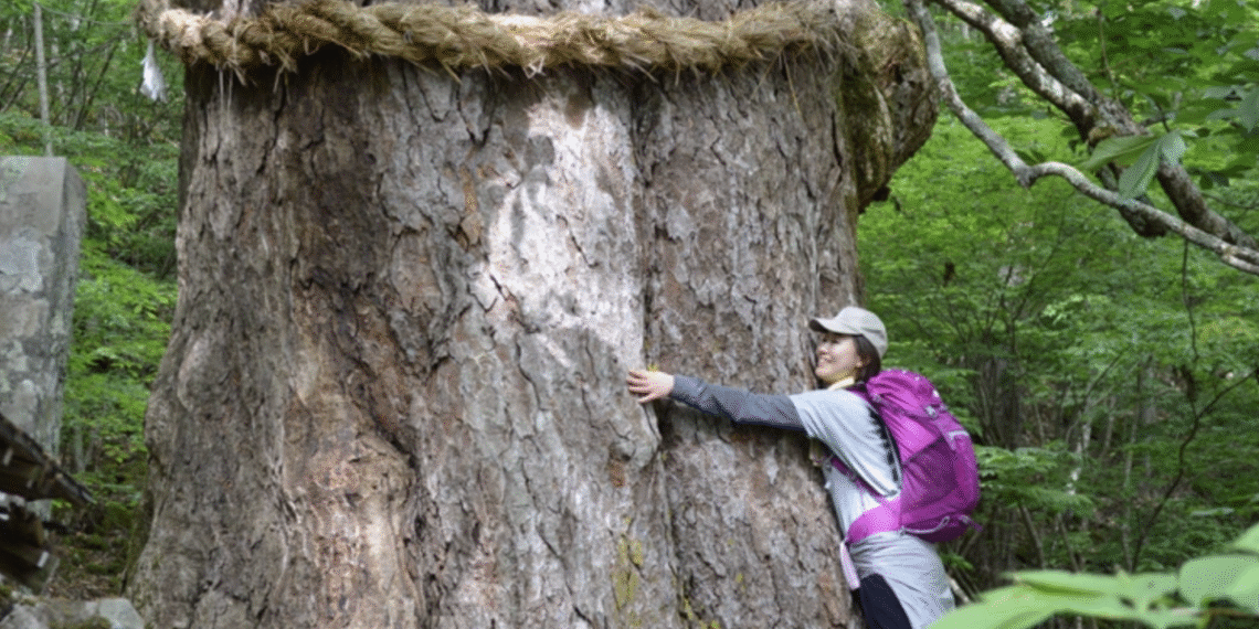 screenshot 2025 10 22 at 14 30 3742 8328 1761118604.png